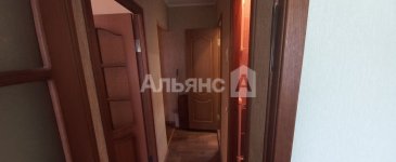 Миниатюра 12