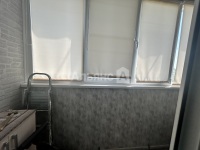 Миниатюра 13